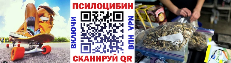 Галлюциногенные грибы Psilocybe  Туран 
